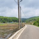 오지1리 마을회관 앞 이미지