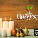 브레드82 이미지