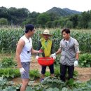 삼시세끼 - 경주시 황성동 | 삼시세끼