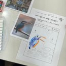 [생태팝업카드공방-마포구동물편] 2026 꿈다락 문화예술학교 문화시설형 선정 프로그램 / 수업 후기