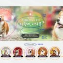 웨일디자인 이미지