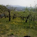 경희축산 이미지