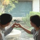 하루나의뜰 이미지