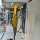 주흥3길 1 이미지