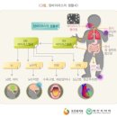 수족구의 정의 및 진단확정[수족구 진단비(연간1회한) 특별약관] 이미지