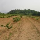 광암농장 이미지