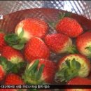 라이프마트 이미지