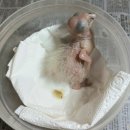 이소농장 이미지