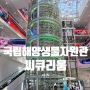 책놀이터에서 놀자 4~5세 | [충남 서천] 서천 국립해양생물자원관 씨큐리움/ 군산 근처 서천 아이랑 가볼만한곳/ 비오는날 실내놀이터