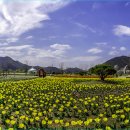 문화체육공원 이미지