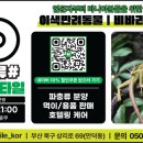 파충류샵카미렙타일