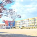 영천고등학교 이미지