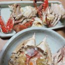 장삼포민박 | [안면도] 꽃지해수욕장 튜울립박람회 방포항 안면도자연휴양림 장삼포해수욕장 안면도일박여행