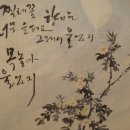 월호 이미지