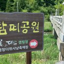 효석문학100리길 제2구간 Daum카페