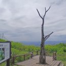 천동리 마을회관 Daum카페