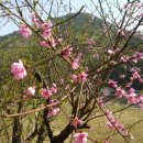 행자농장 이미지