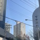 신정2지구대 | 2412 성복-수지구청 임장 후기