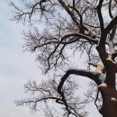 남산 산책로 이미지