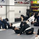 본주짓수평택안중 이미지