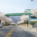 하송로 이미지