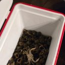 PENSION1830 이미지