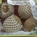 주미 농장 이미지