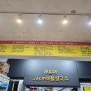 해운대 31cm 해물칼국수 내돈내산 후기 (해운대시장 맛집, 직영점)