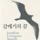 갈매기의 꿈 이미지