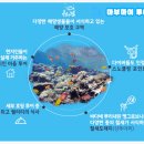 마부하이투어 이미지