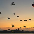 삼학도 | [목포여행] 삼학도크루즈 불꽃놀이 매불투어 후기