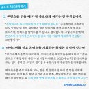 새벽의축구전문가