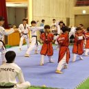 경희대 진명태권도 이미지
