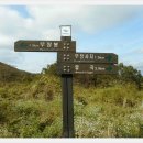 포항상생숲길 이미지