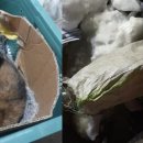 코인스테이지동전노래연습장 이미지