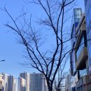 해드림부동산공인중개사무소 네이버블로그