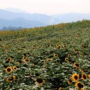 강주문화마을영농조합법인 이미지