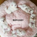 놀자 이미지