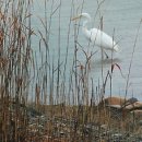 선인6리 | 곡성 백로정(白鷺亭)2