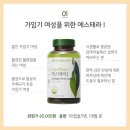 에스테라 이미지