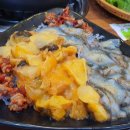 회와 멍게 친구들 이미지