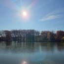 [손바닥 위를..] 낙엽은 아나.. 이미지