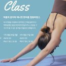 채니핏 이미지