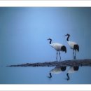 라파밀리아 이미지