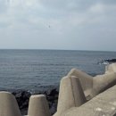 하모리-33 이미지