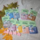 츄리 | 12년차 집사 고양이 습식간식 추천 오아지 네츄리 9종 솔직 후기