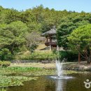 호반로(상아동) 이미지