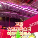 스몹고양 이미지