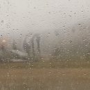 카페 주식회사 이미지