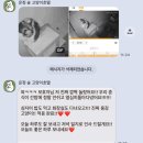 운정 숲 고양이호텔 네이버블로그